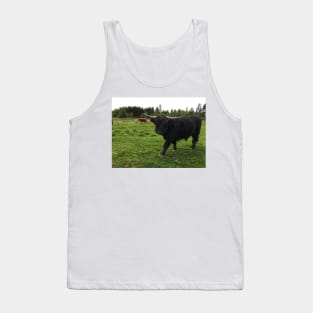 Scottish Highland Cattle Bull 1763 Tank Top